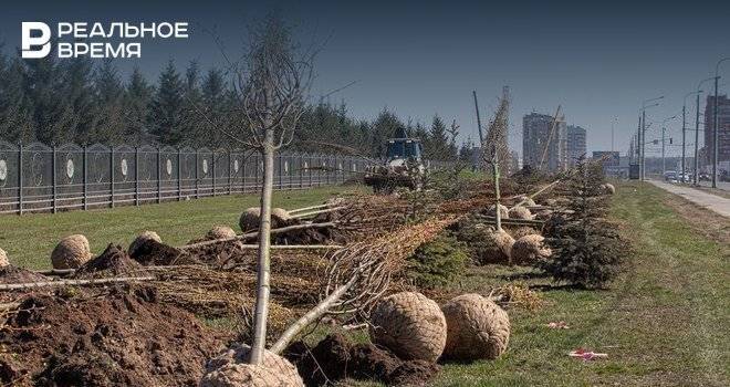 В Казани высаживают 1075 новых деревьев