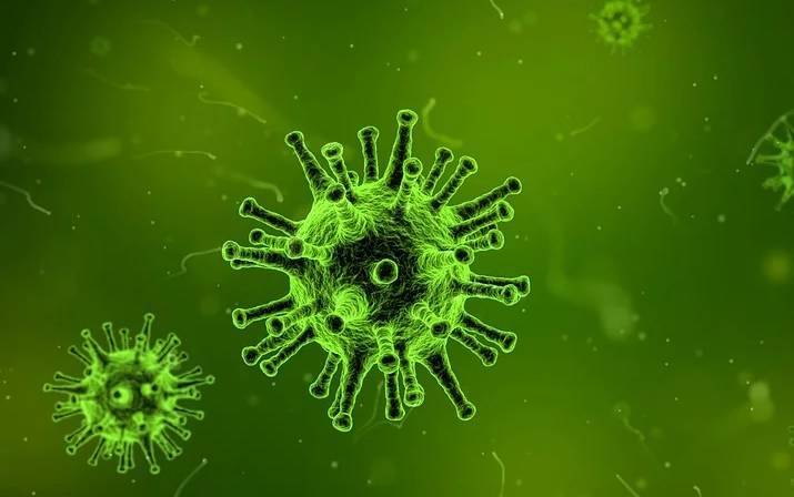 Человечество ожидают вспышки коронавируса новых типов - Cursorinfo: главные новости Израиля