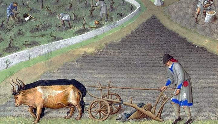 Пахать и пахать: потомки трудолюбивых крестьян превратились в современных трудоголиков