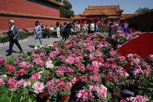 В Пекине пройдет международный цветочный фестиваль