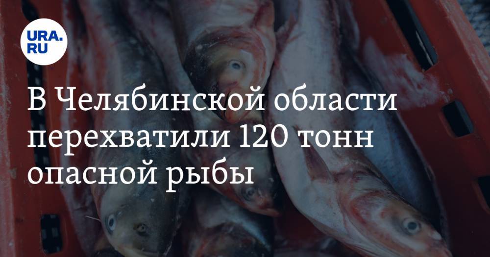 В Челябинской области перехватили 120 тонн опасной рыбы