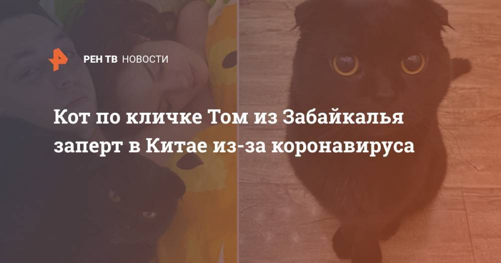 Кот по кличке Том из Забайкалья заперт в Китае из-за коронавируса