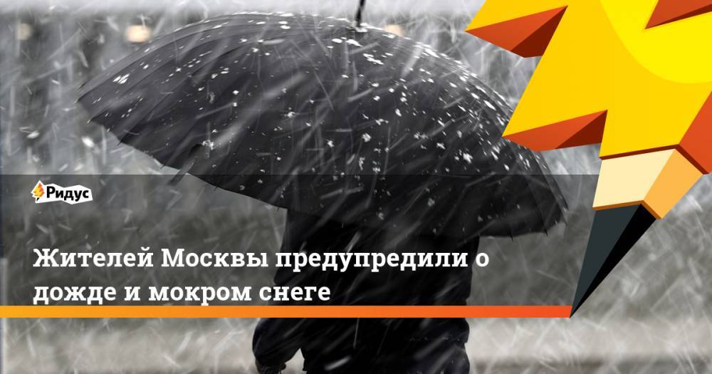Жителей Москвы предупредили о дожде и мокром снеге