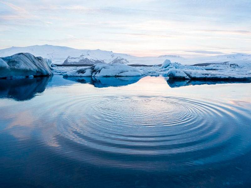 Ученые из «Роснефти» и нацпарка «Русская Арктика» обнаружили бактерии, очищающие почвы от нефтяных загрязнений