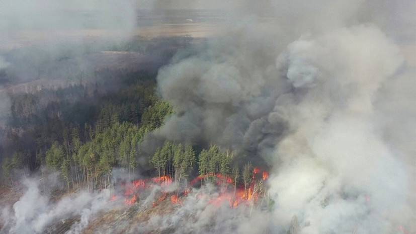 «Оказались не готовы»: сможет ли Киев создать эффективную систему тушения пожаров в чернобыльской зоне отчуждения