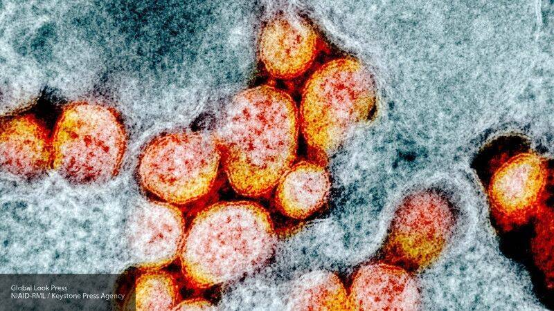 Ученый определил время действия иммунитета против коронавируса