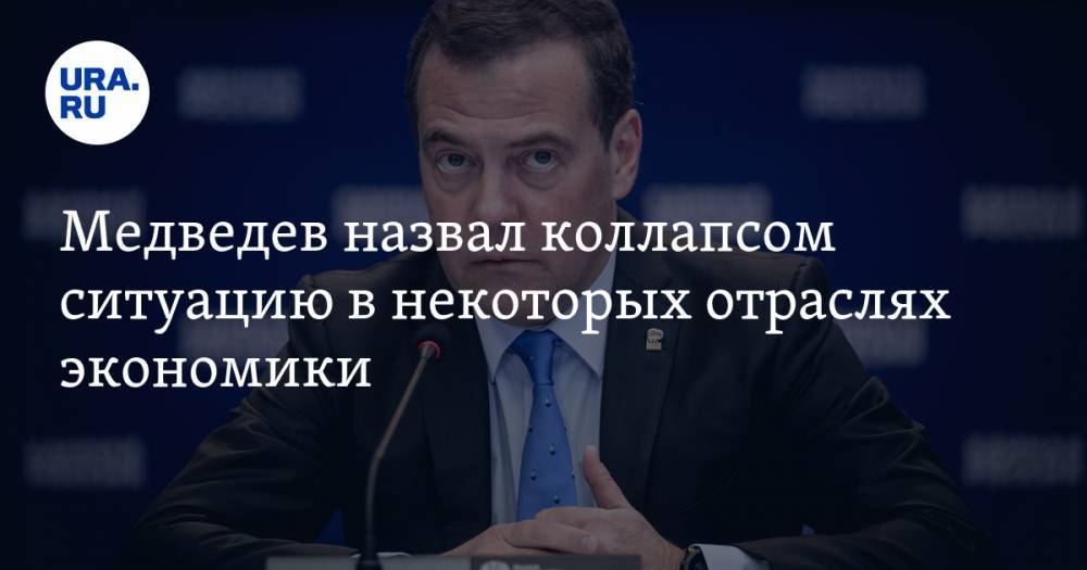 Медведев назвал коллапсом ситуацию в некоторых отраслях экономики