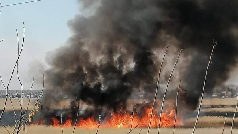 В Омской области введён особый противопожарный режим