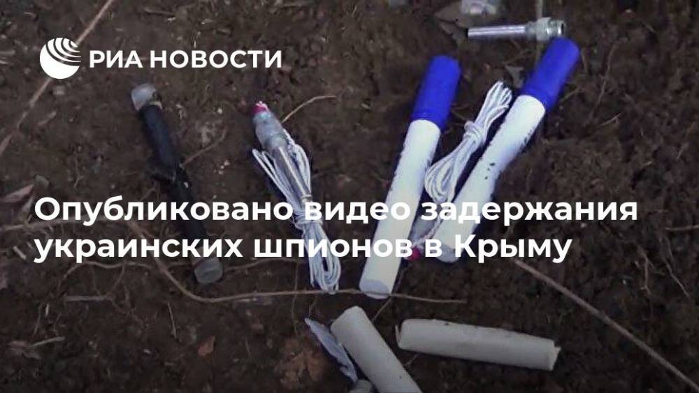 Опубликовано видео задержания украинских шпионов в Крыму