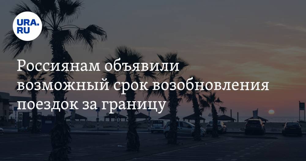 Россиянам объявили возможный срок возобновления поездок за границу