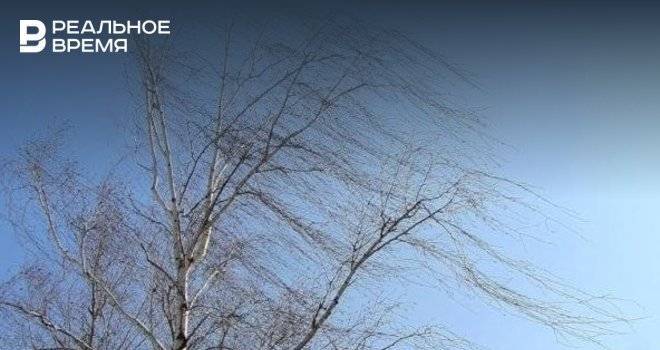 МЧС Татарстана вновь предупредило о сильном порывистом ветре