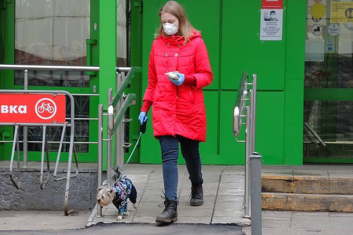 Комитет ветеринарии Москвы предупредил о риске заражения коронавирусом домашних животных
