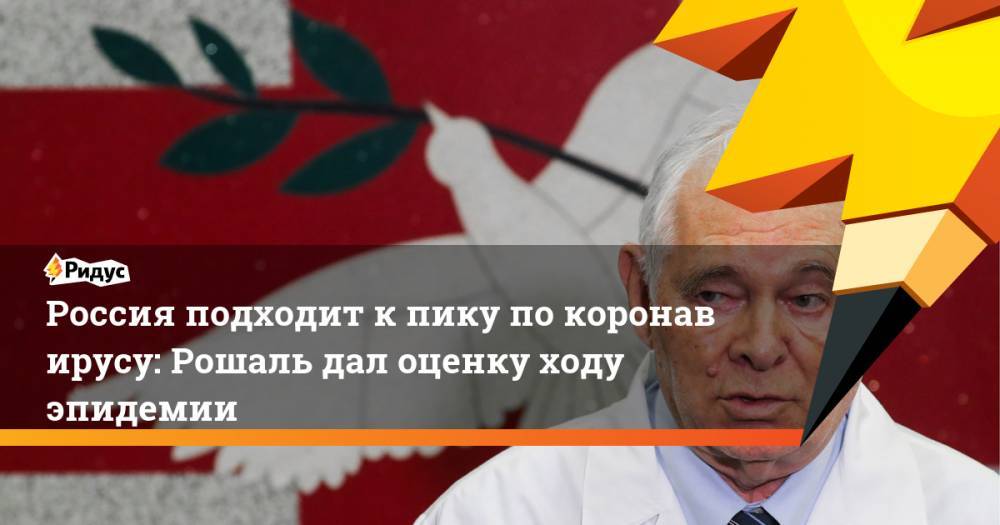 Россия подходит кпику покоронавирусу: Рошаль дал оценку ходу эпидемии