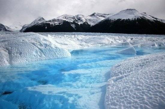 Учёные обнаружили в Арктике бактерии, разлагающие нефть