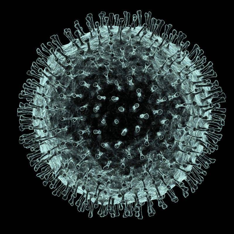 Коронавирус, вызывающий COVID-19, может убить иммунные клетки - ученые - Cursorinfo: главные новости Израиля