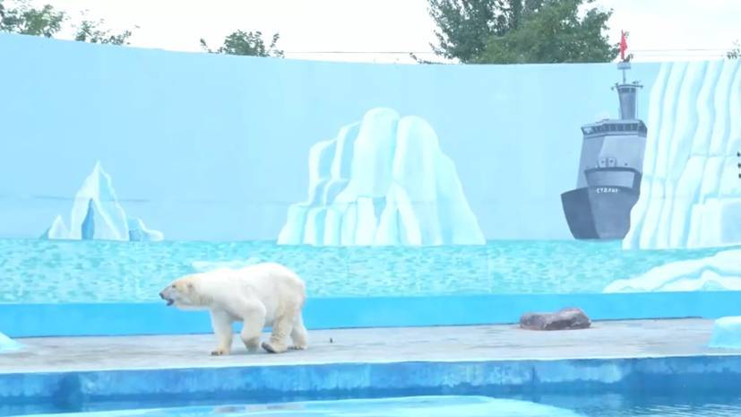 В Нижегородской области рассказали о поддержке зоопарка «Лимпопо»