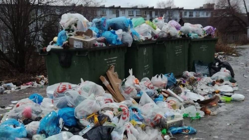 В РЭО опасаются возникновения критической ситуации с вывозом мусора в регионах России