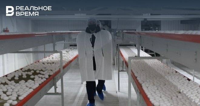 Министр сельского хозяйства Татарстана ознакомился с работой крупнейшего в республике производителя яиц