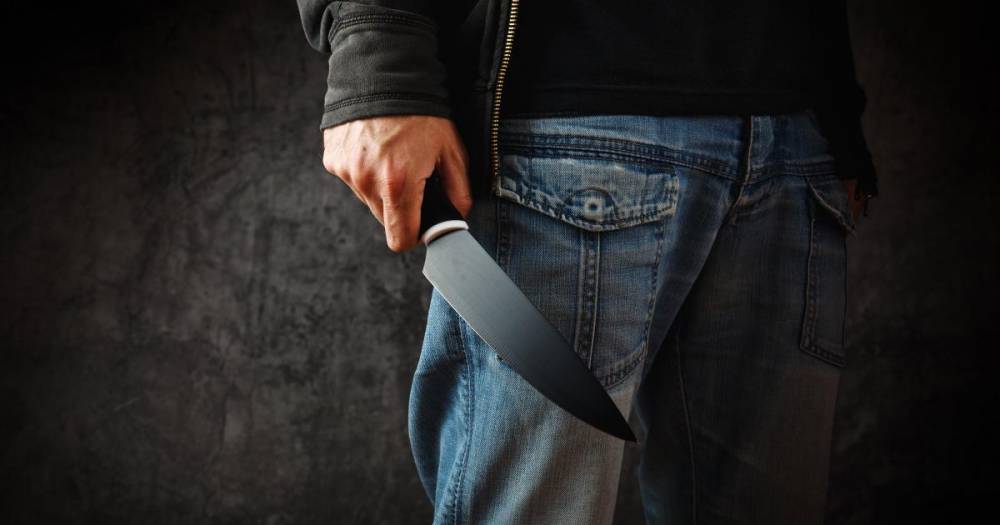 Угрожавшего ножом обитателям квартиры в Гатчине остановили полицейские