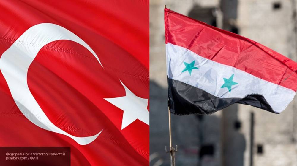 Соколов назвал "откатом в средневековье" политику Турции в Сирии