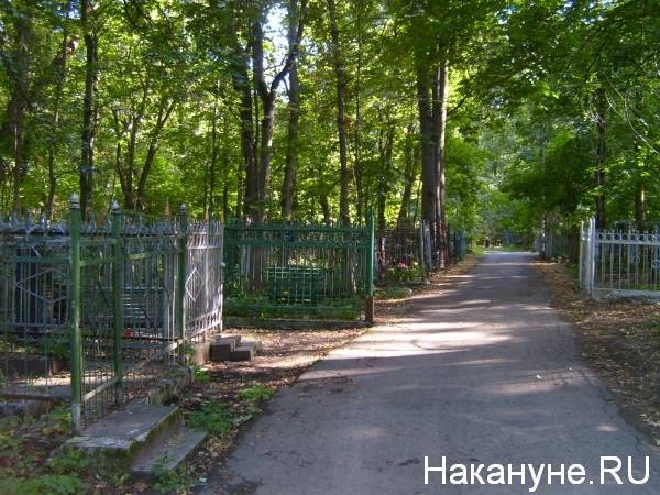 В Зауралье запретили посещать кладбища - nakanune.ru - Курган - Запрет