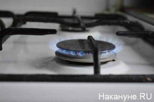 На Южном Урале молодая женщина и ее сын насмерть отравились угарным газом