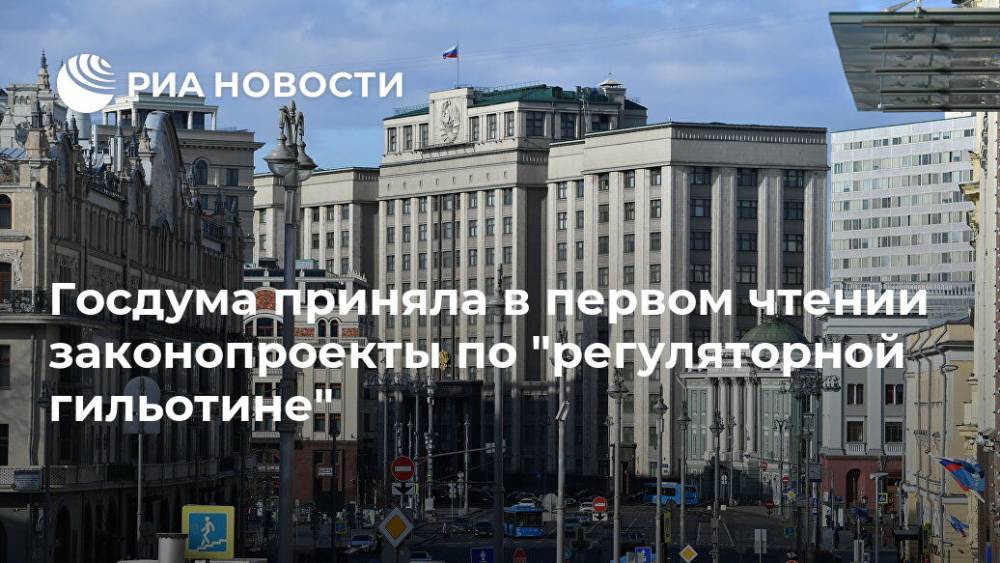 Госдума приняла в первом чтении законопроекты по "регуляторной гильотине"