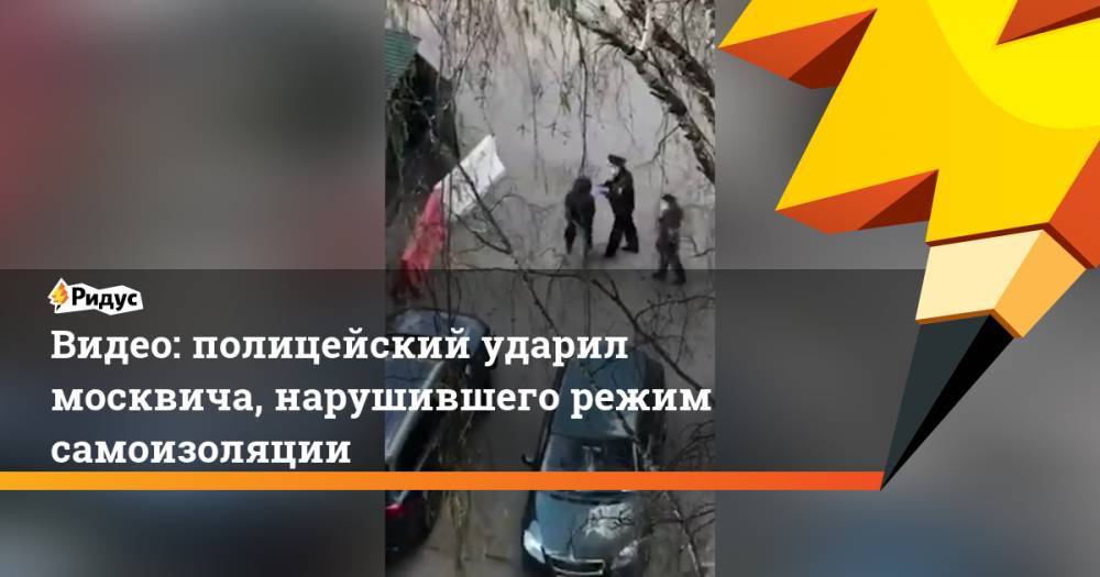 Видео: полицейский ударил москвича, нарушившего режим самоизоляции
