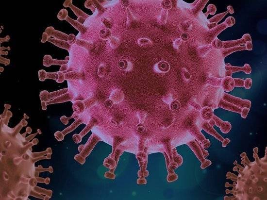 Российские вирусологи оценили открытие о температуре гибели коронавируса