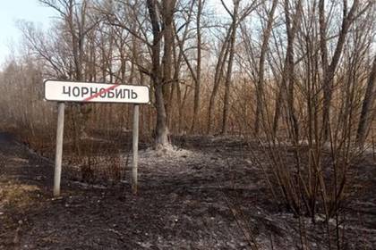 Россия рассказала о готовности помочь Украине в Чернобыле