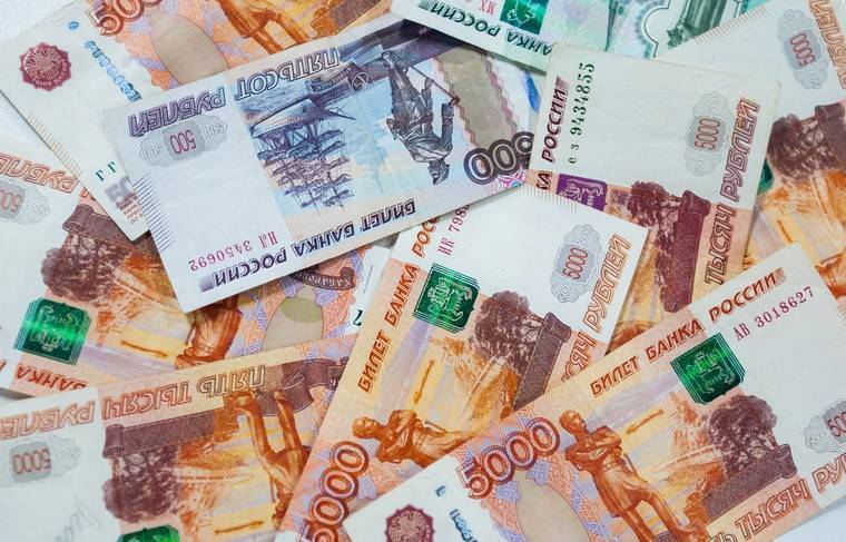 Депутаты из Москвы и Петербурга предложили выплатить населению по 25 тысяч