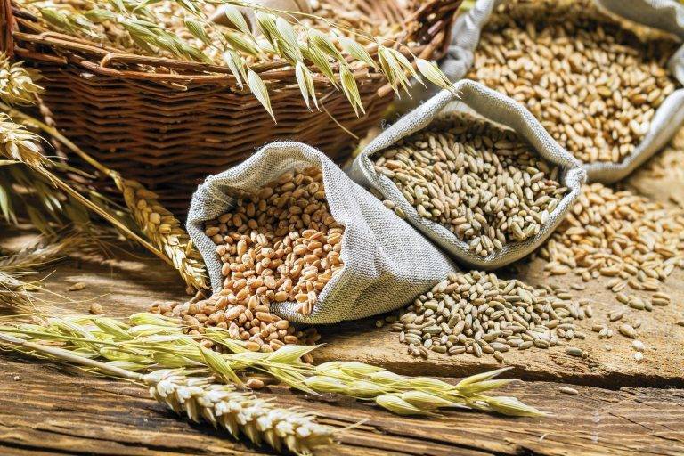 Agrocorp и Cargill использовали платформу на блокчейне для продажи пшеницы на $12 млн
