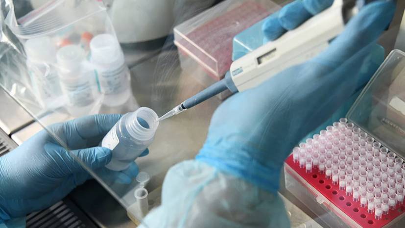За сутки в Турции выявили более 4300 заражённых коронавирусом