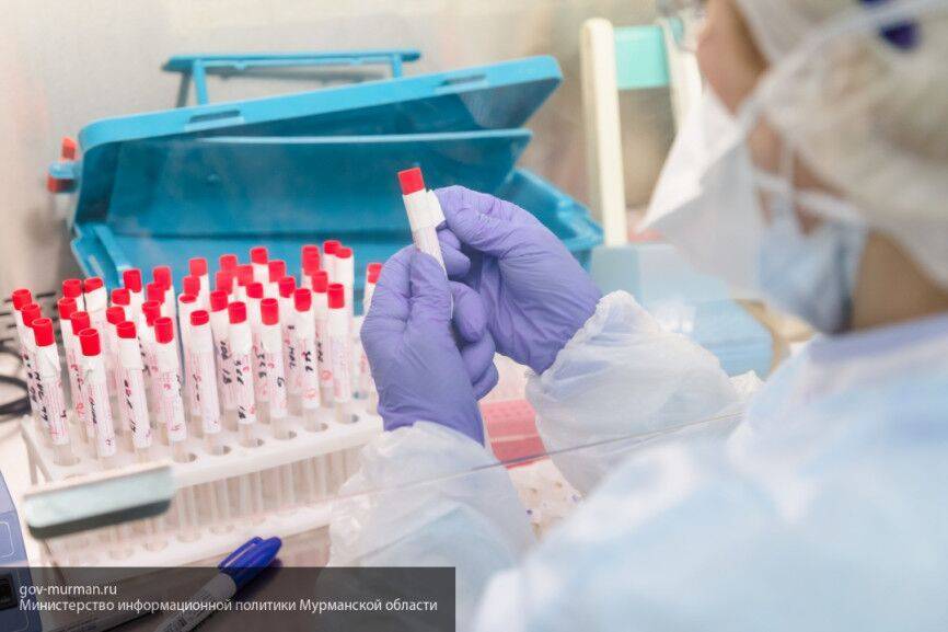 Российско-японская команда ученых создала высокоточный тест на коронавирус