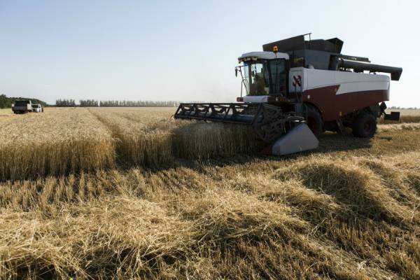 Россия ограничивает продажу зерна за границу