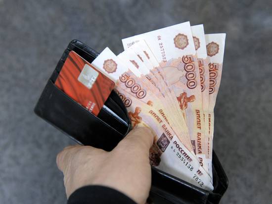 Единый реестр доходов россиян покажет их власти как на ладони