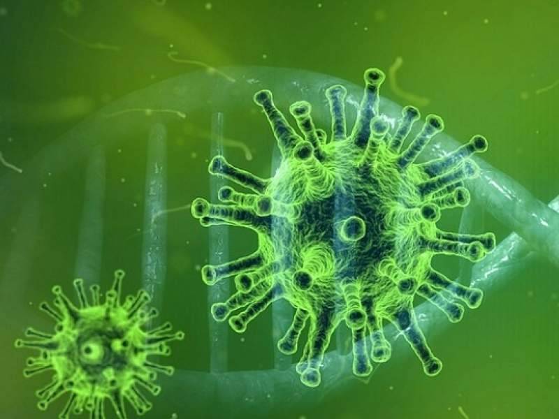Нобелевский лауреат заявил, что коронавирус выведен в лабораториях Уханя