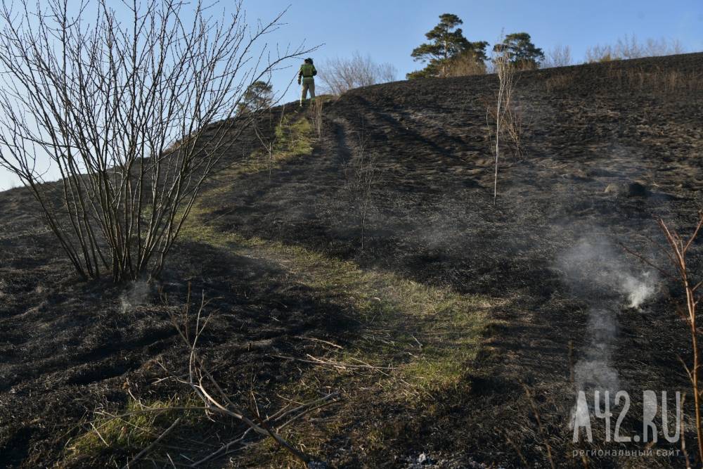 В Сосновом бору в Кемерове загорелась трава