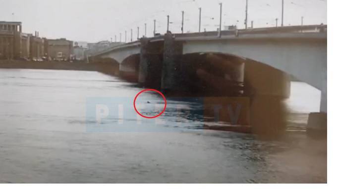 Установлена личность мужчины, который прыгнул с моста Александра Невского