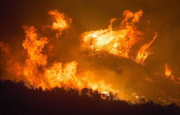 Площадь лесных пожаров в РФ приближается к 25 тысячам га