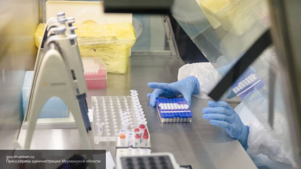 Оперштаб: качество тестов увеличило выявляемость зараженных коронавирусом