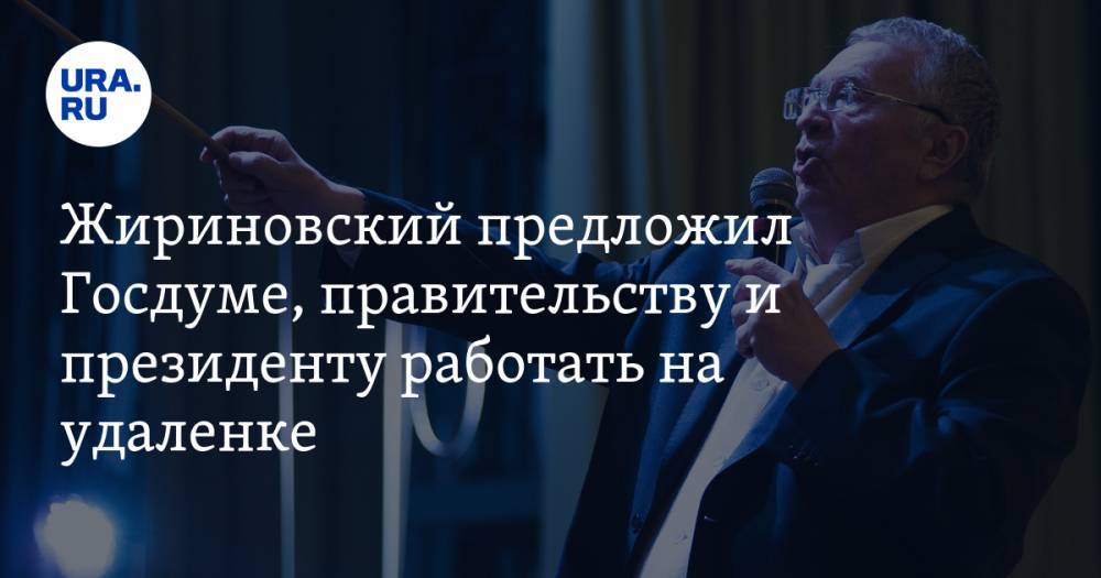 Жириновский предложил Госдуме, правительству и президенту работать на удаленке