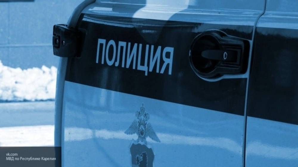 Полиция ищет родных душевнобольного, пристававшего к прохожим в Подольске