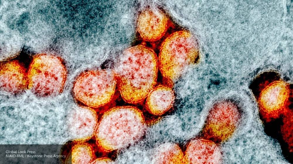 Великобритания начнет производство вакцины от коронавируса