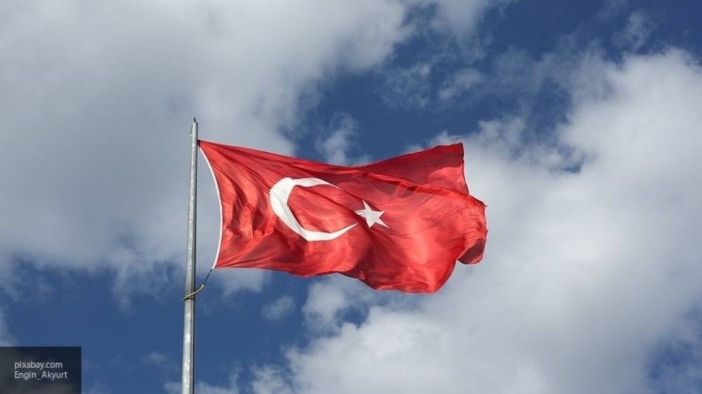 Фитин: Турция намеривается с помощью боевиков СНА захватить Идлиб