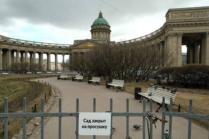 Наличие блокпостов на въезде в Петербург опровергли