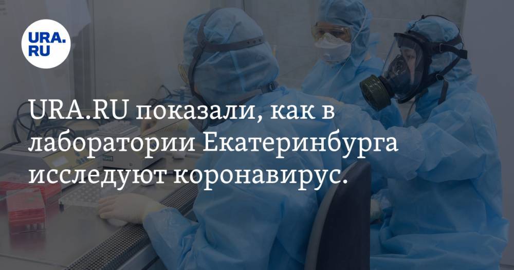URA.RU показали, как в лаборатории Екатеринбурга исследуют коронавирус. ФОТО