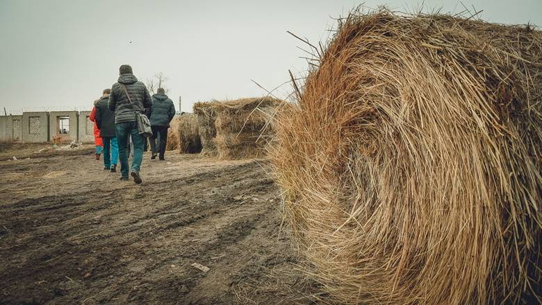 Уральские фермеры столкнулись с дефицитом кормов и лекарств из Тюмени - nashgorod.ru - Тюмень