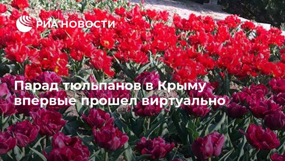 Парад тюльпанов в Крыму впервые прошел виртуально