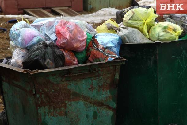 Операторы по вывозу мусора могут прекратить работу в 20 регионах России
